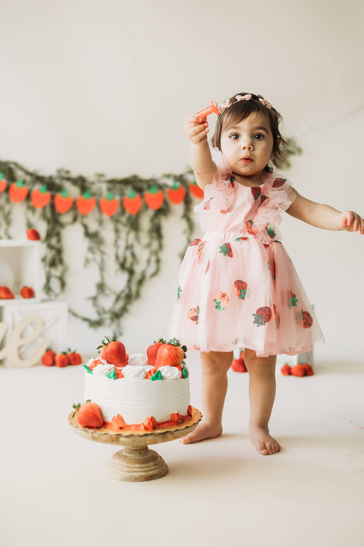 harrisburg-cake-smash-photographer-18