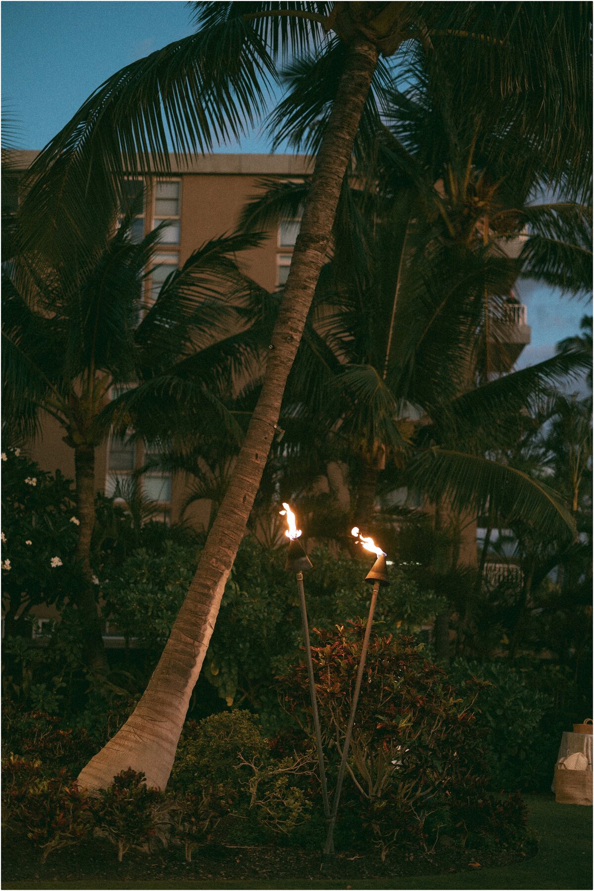 Hawaii-Sugar-Beach-Portfolio-59