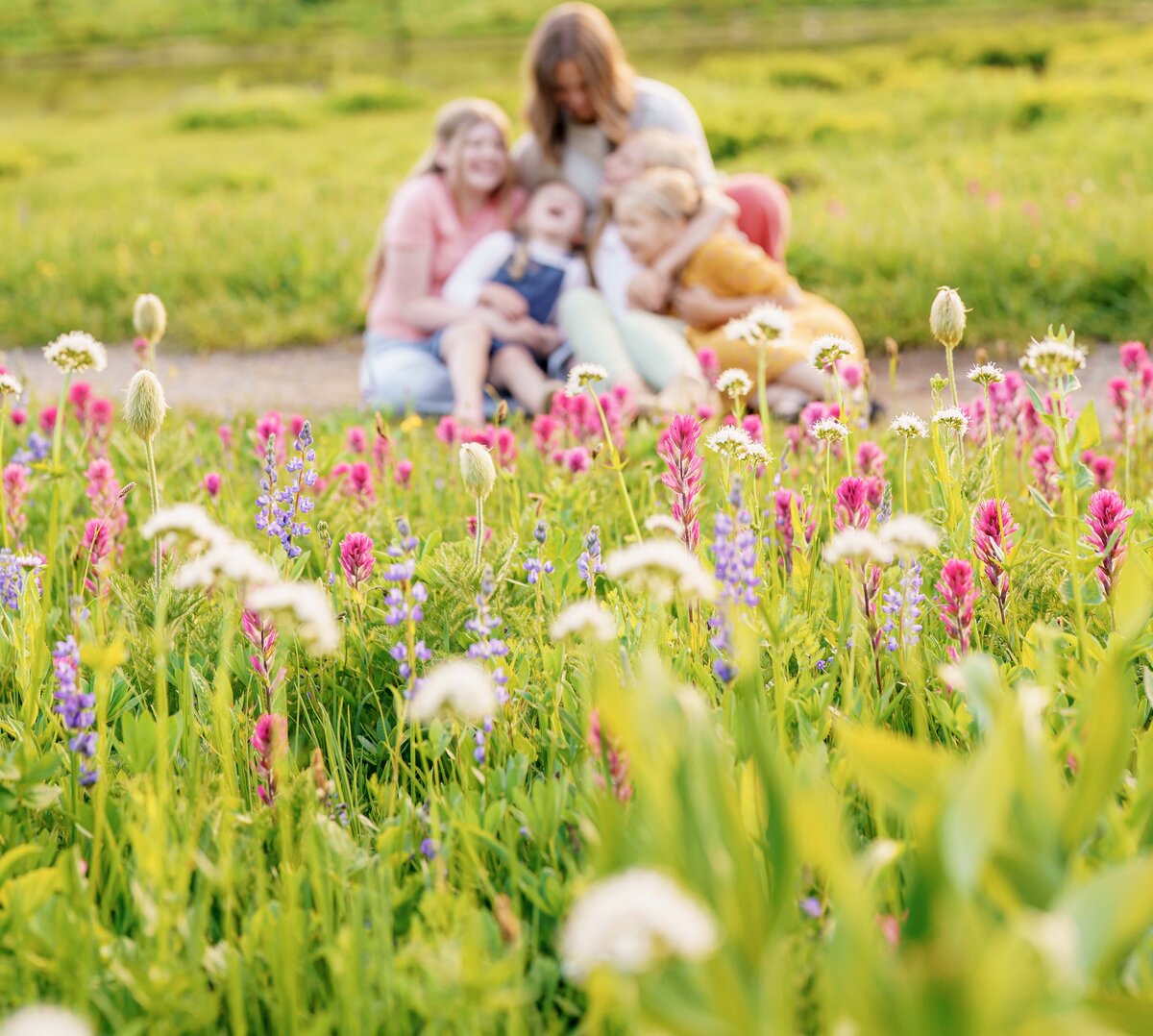 Wildflower Family Outdoors Mt Rainier