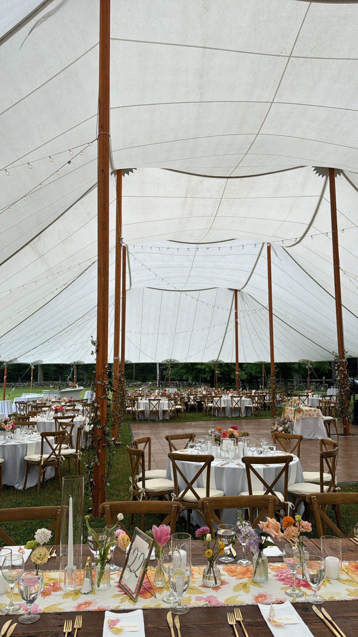 CCEEE3F4-2EF0-49E4-91F6-5A45ACBD315E