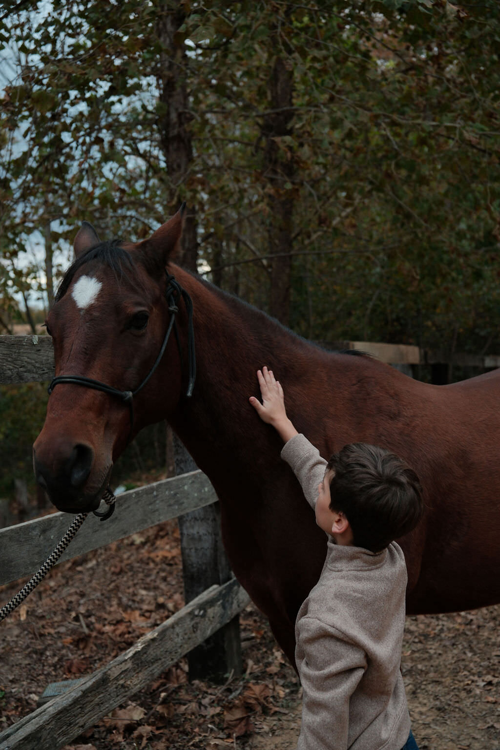 TheHoof_Selections_October_00299