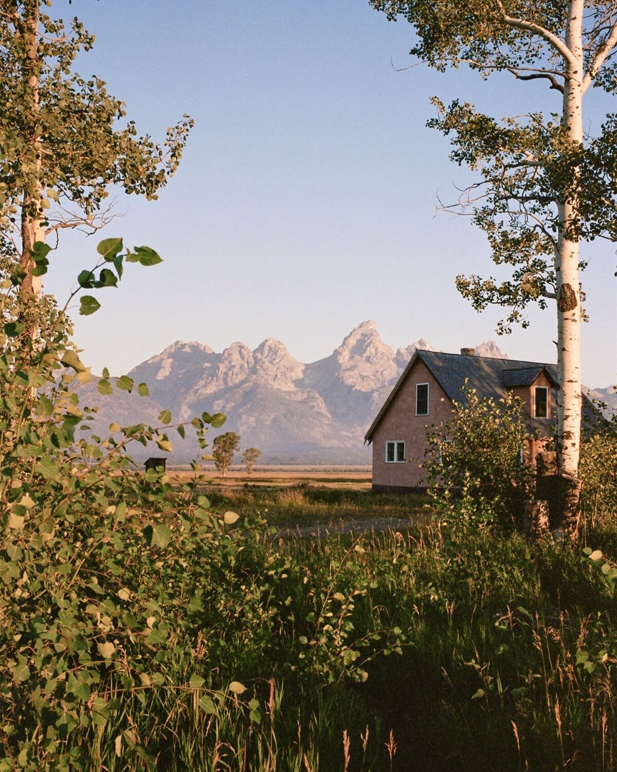 Yellowstone + GrandTeton NP Film (61 of 110)