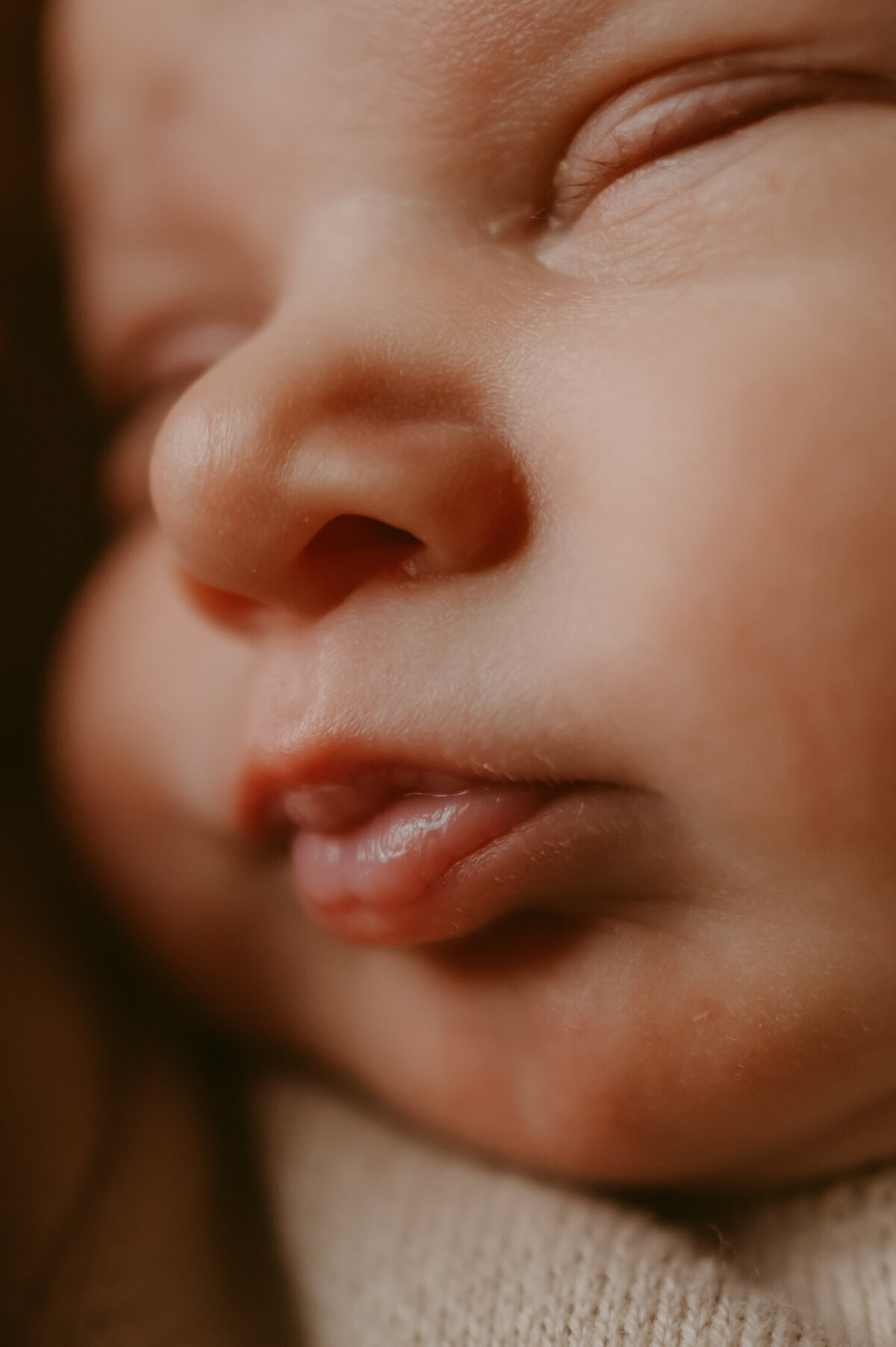 wisconsin_newborn_photographer | Grace + Honey Photo-170