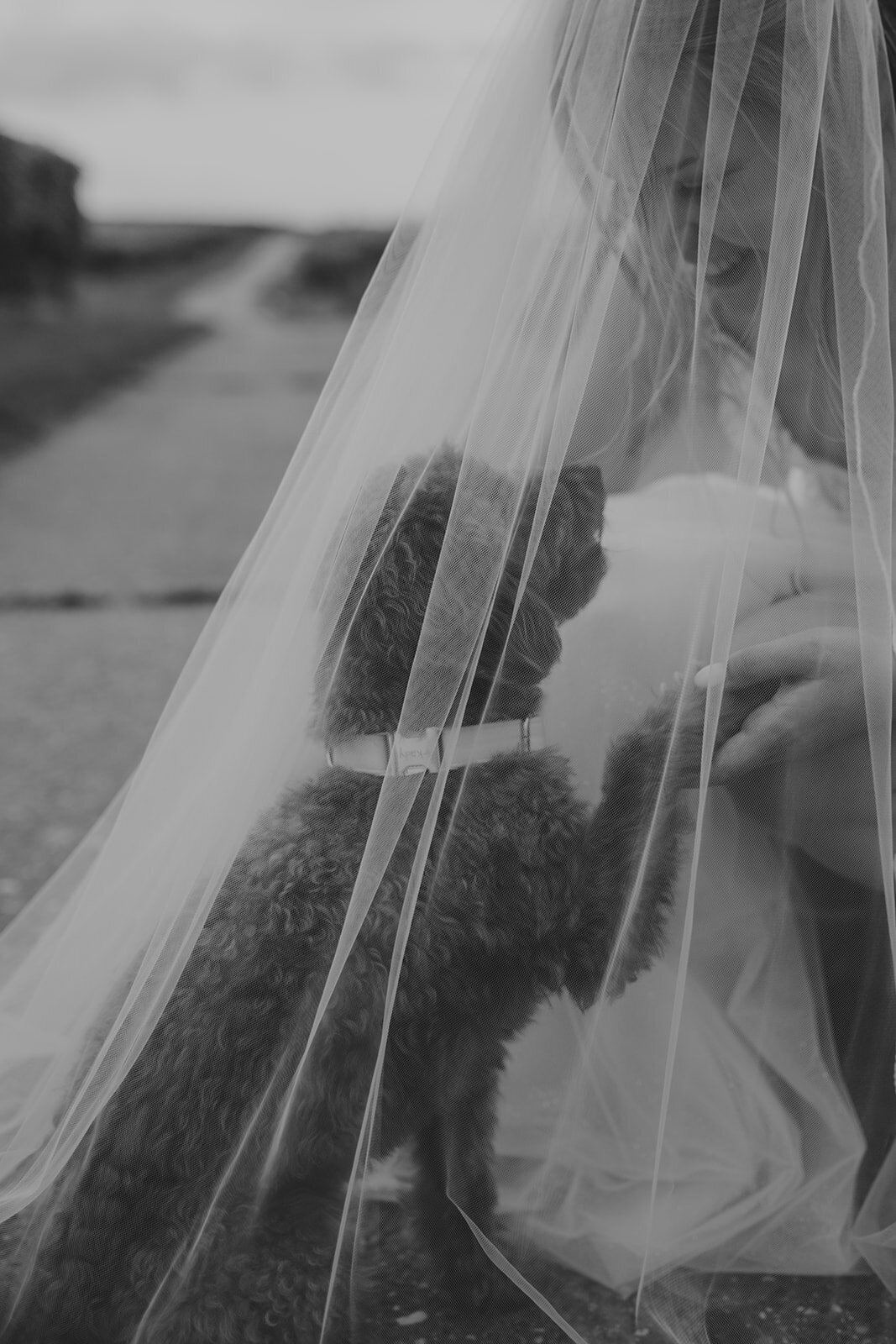 494-LauraSeitzFotografie-Vanessa-Sven-Hochzeit-03082024_LS42410-high_websize