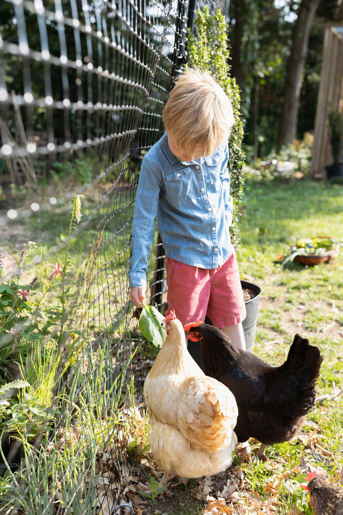 Boston-Family-Photographer-Caroline-the-Photographer-00029