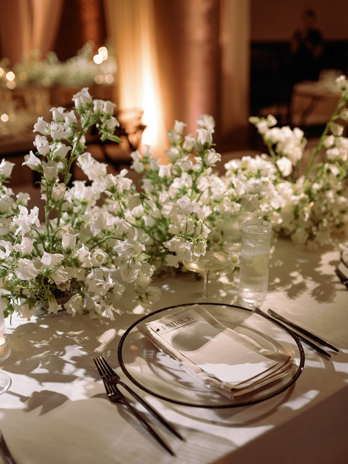 Preview_du_soleil_photographie_erin_dave_fitler_club_wedding_fulton_preview-129