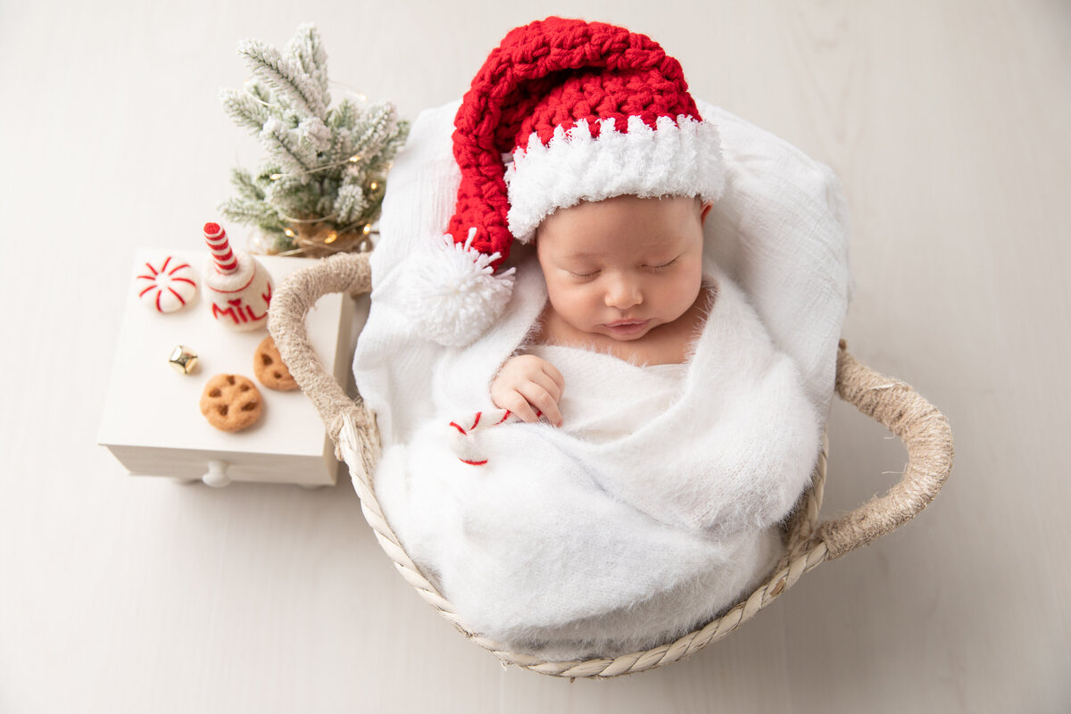 Christmas newborn Maryland