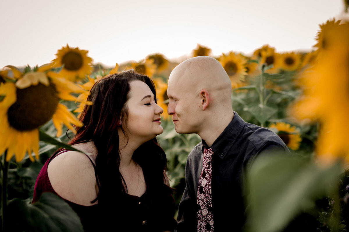 Engagement session in the sunflower field0006