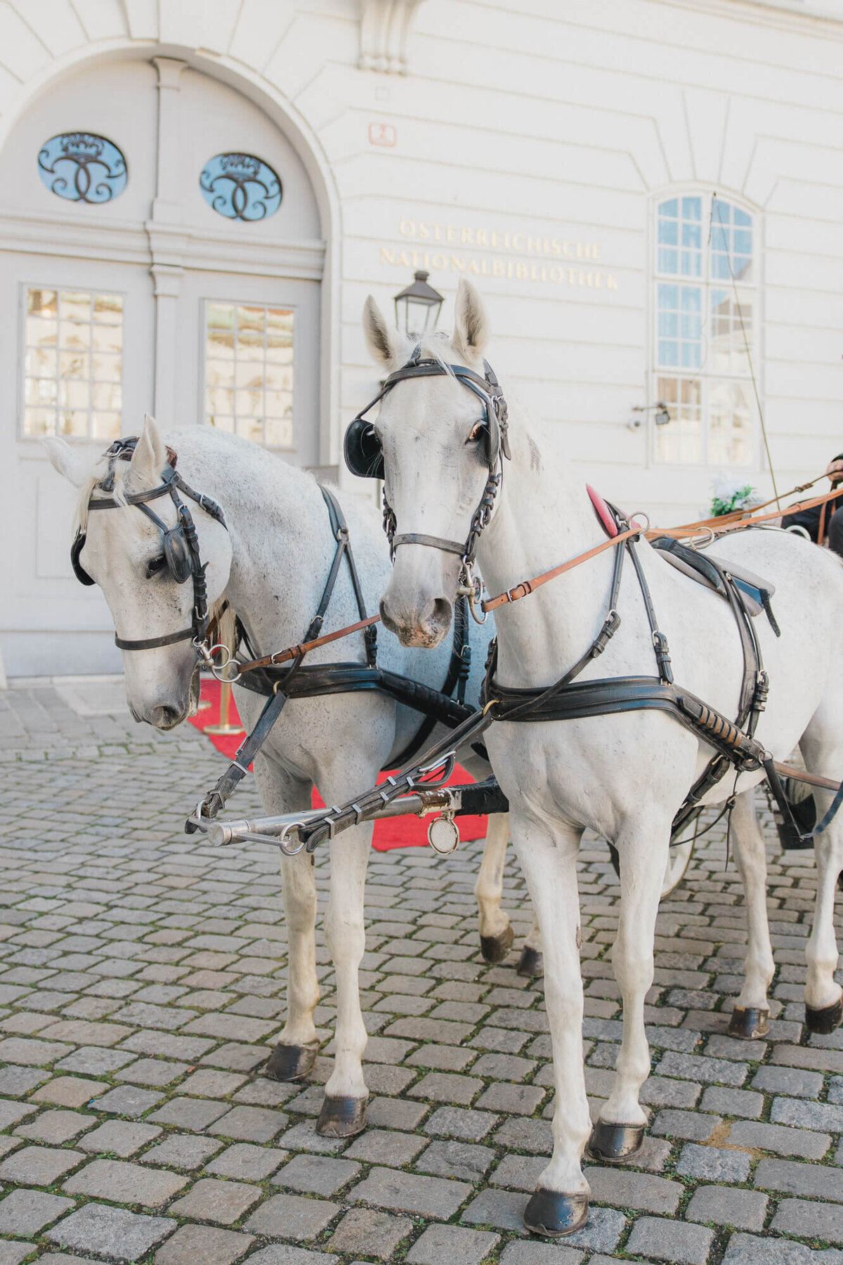 national-library-vienna-wedding-5
