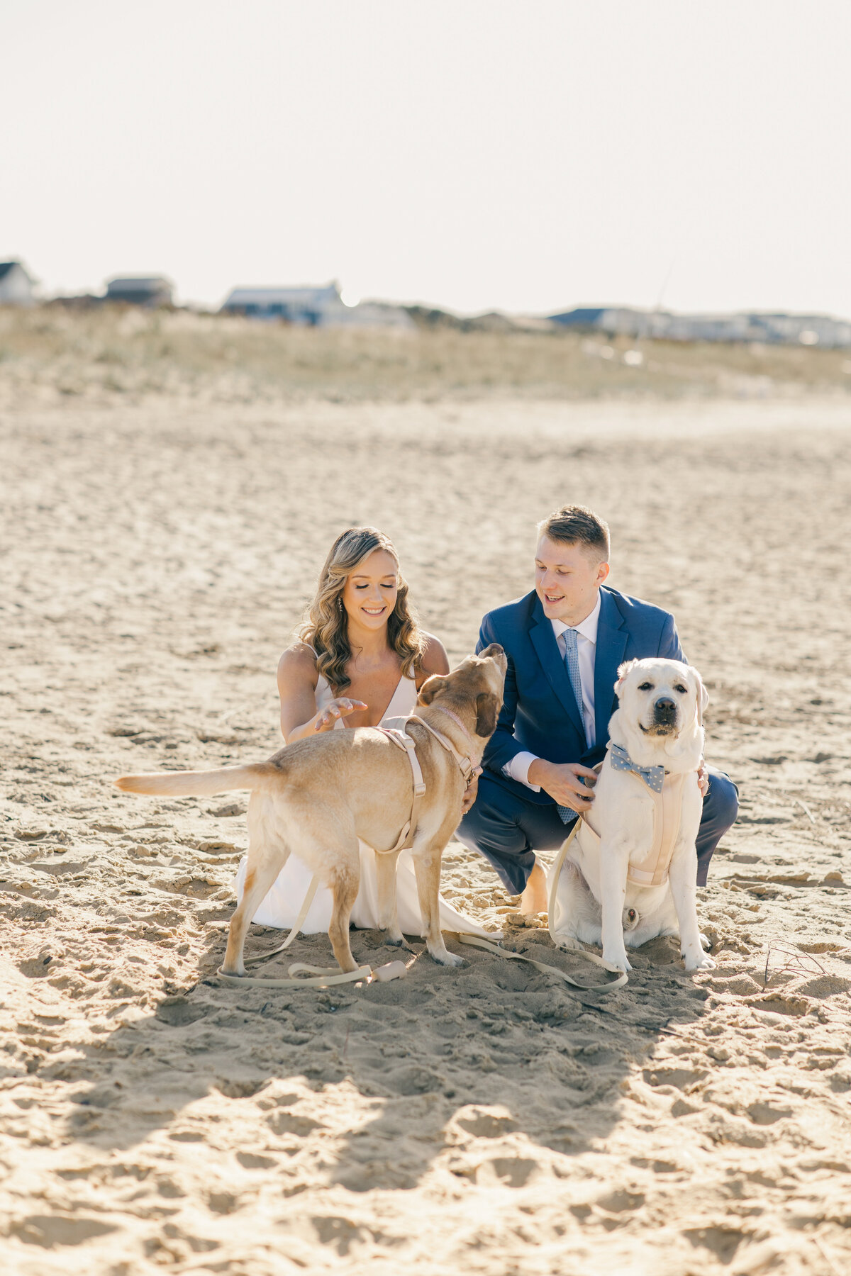 Kelsey & Dan_Wedding_Bride & Groom with Dogs-1023