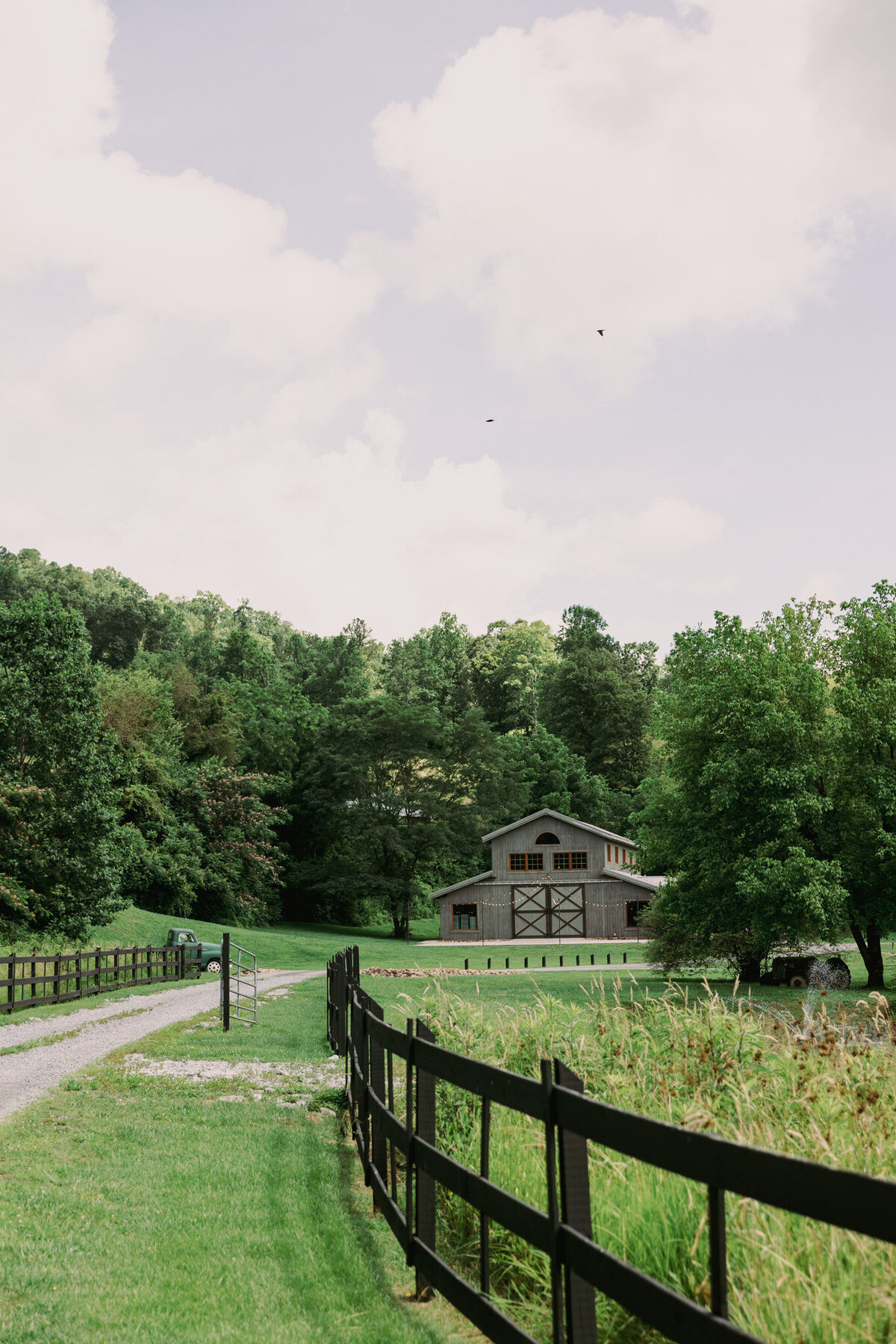4 Points Farm in East Tennessee (2)