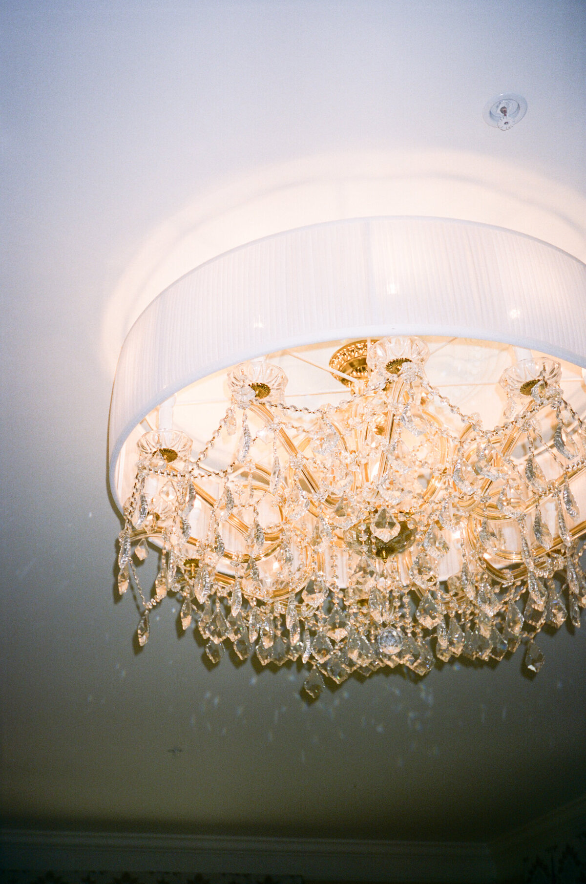 Film_Wedding_Photos_by_Ashley_Joyce-20