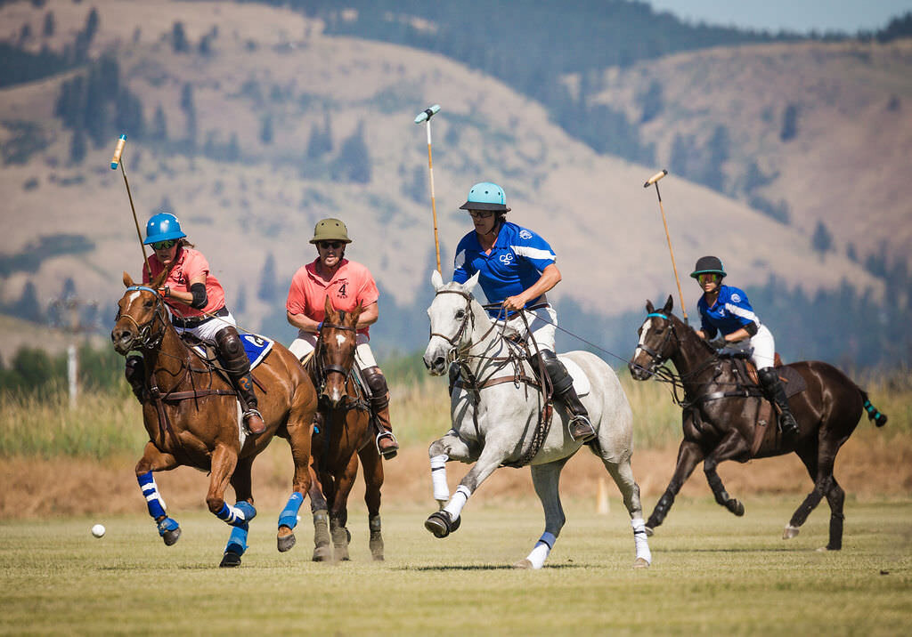 20220724_kya-photography-equestrian-photographer_0016