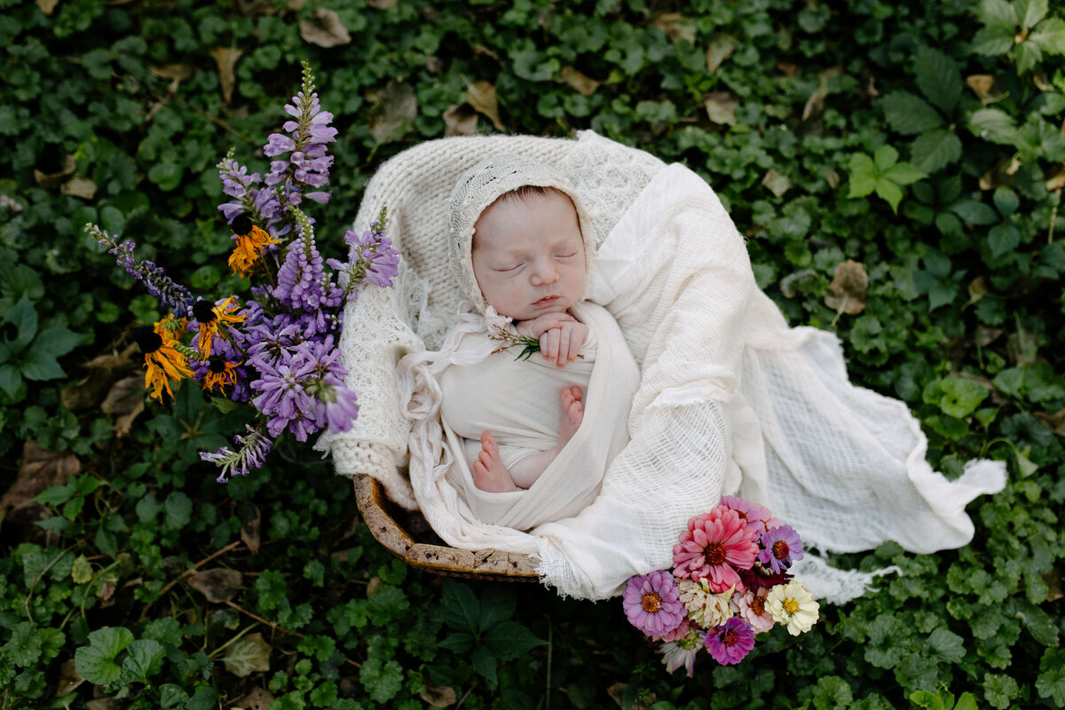 hudson-valley-newborn-photographer-02