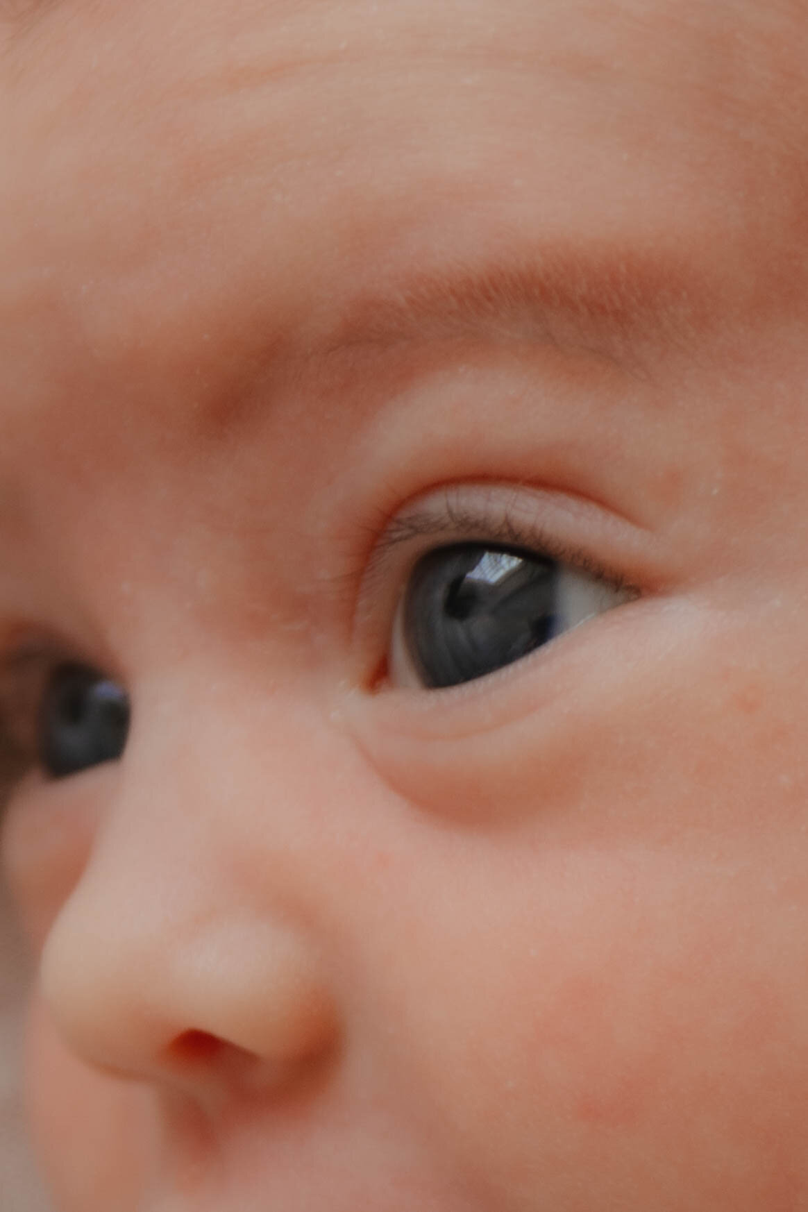 newborn photography cairns