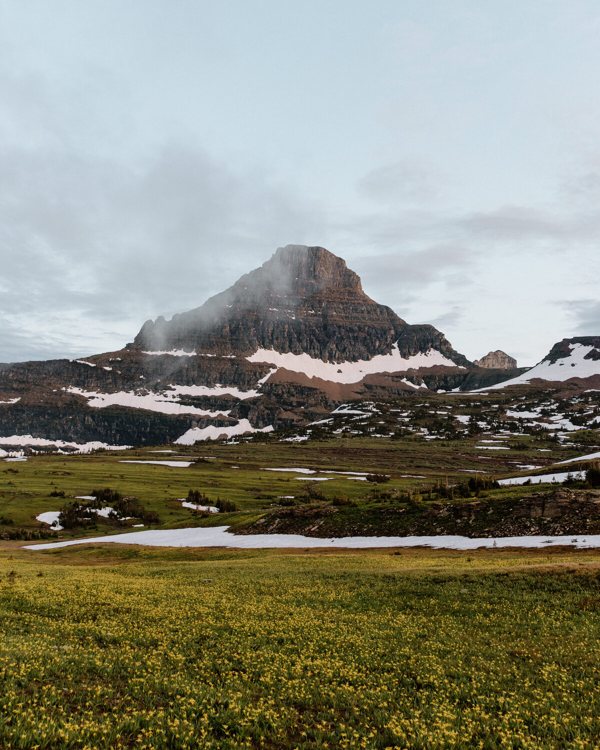 logan_pass_meadow_reynolds_mountain_glacier_national_park