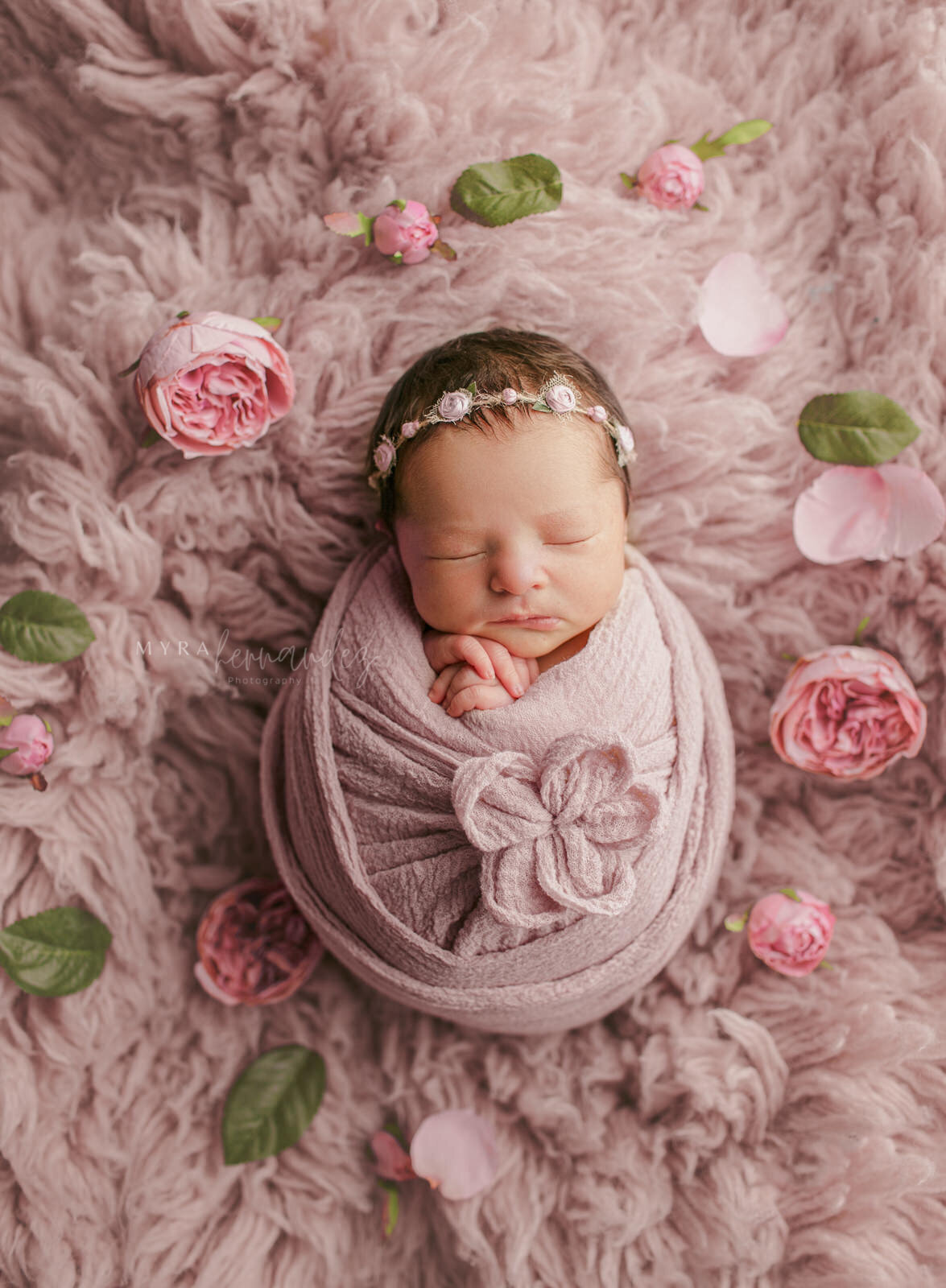 NewbornSession-amaya-39