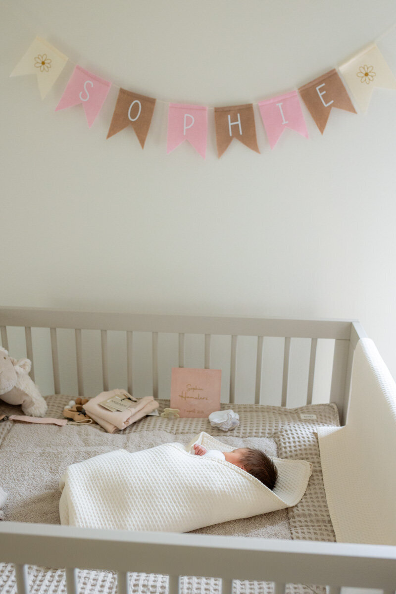 newborn baby in box