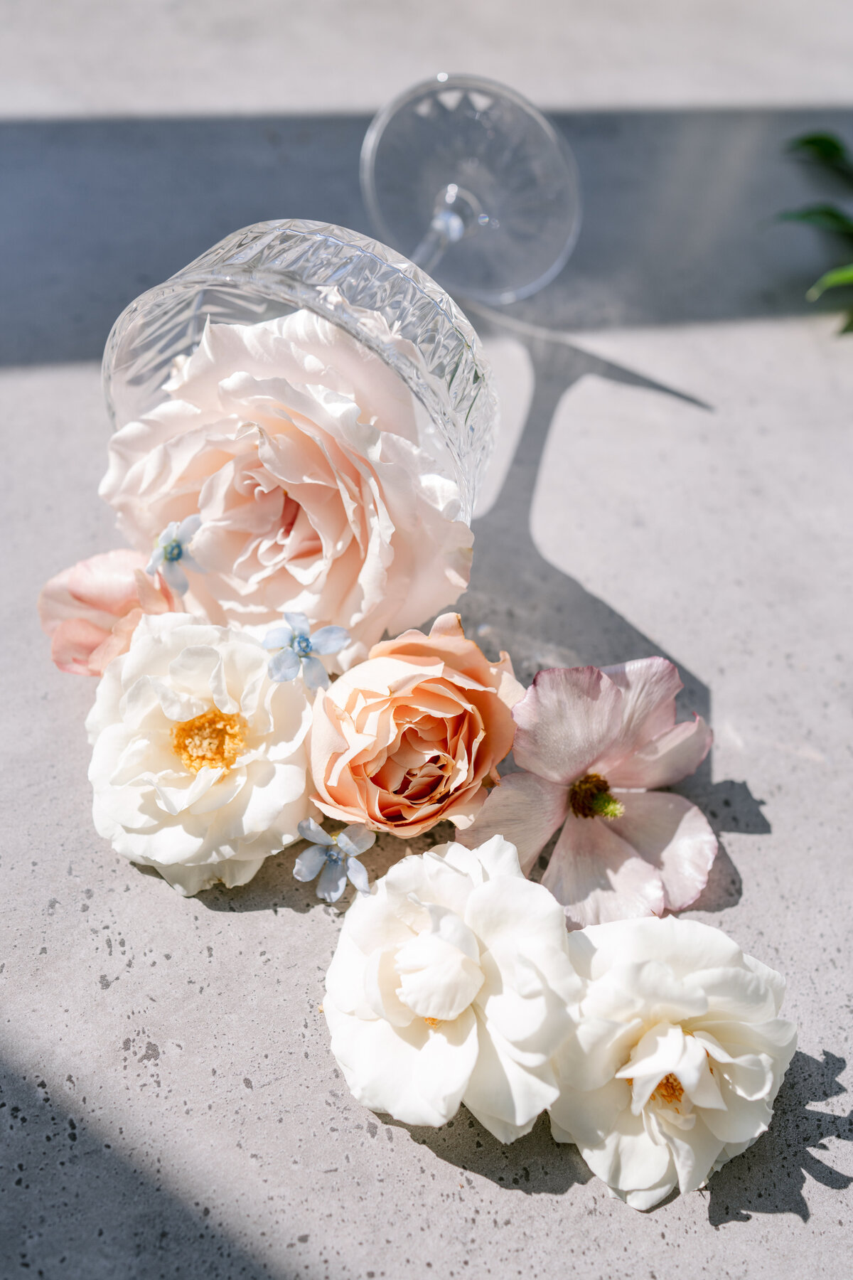 0255 Photobooth Mastery - Luxury Wedding Booth Workshops by Catalina Bloch - Photography by Emma