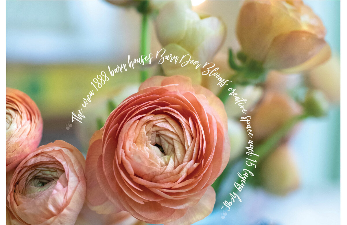 ct-food-and-farm-magazine-feature-barn-door-blooms-3