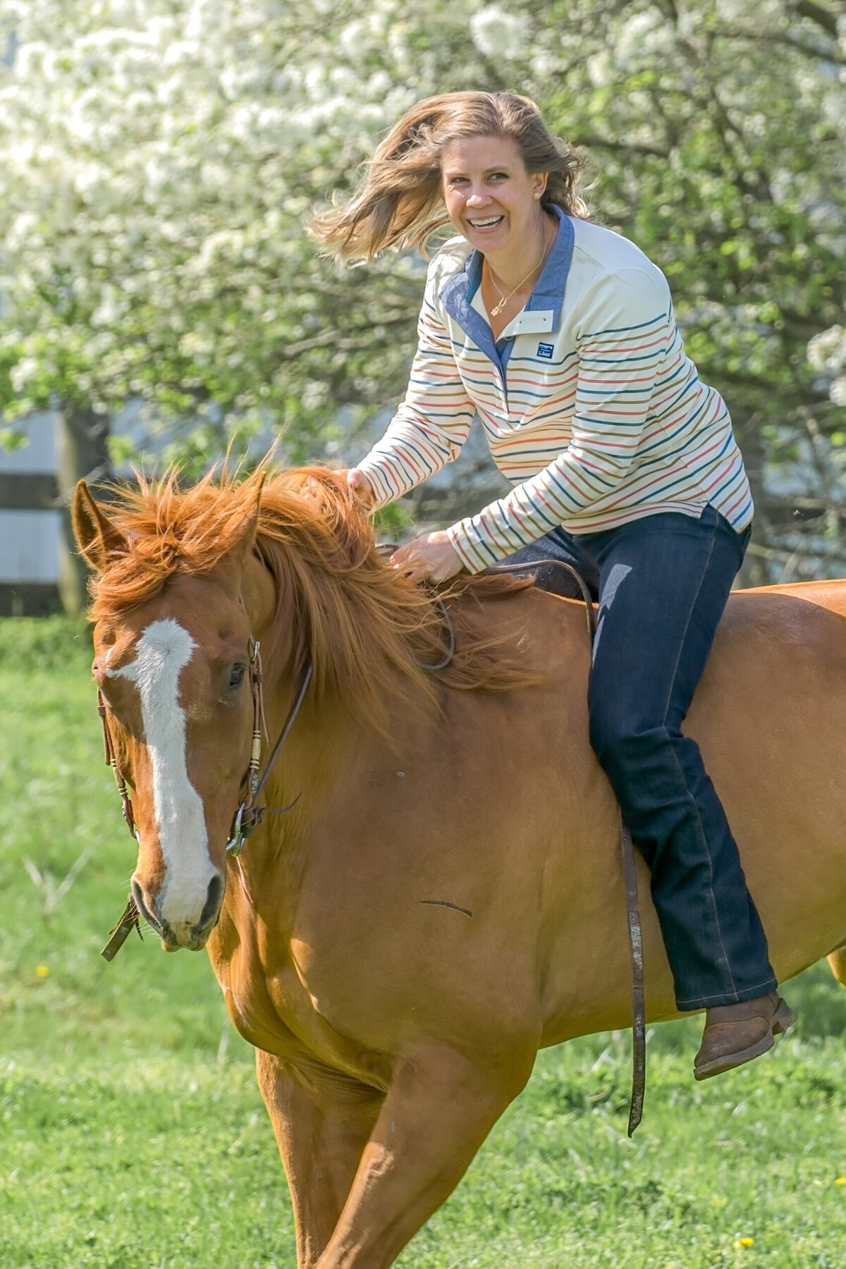 Equestrian-29