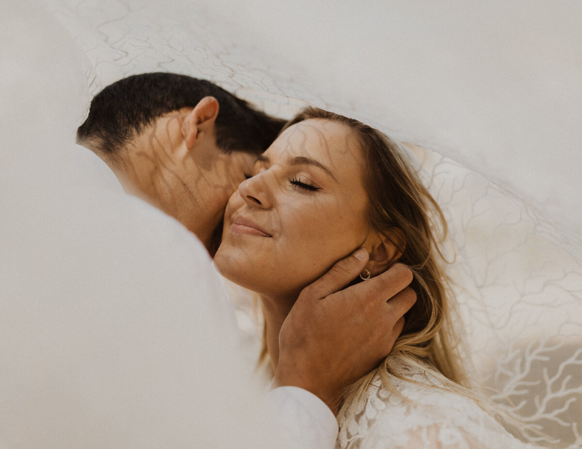 Groom kissing bride's cheek under veil while she soft smiles