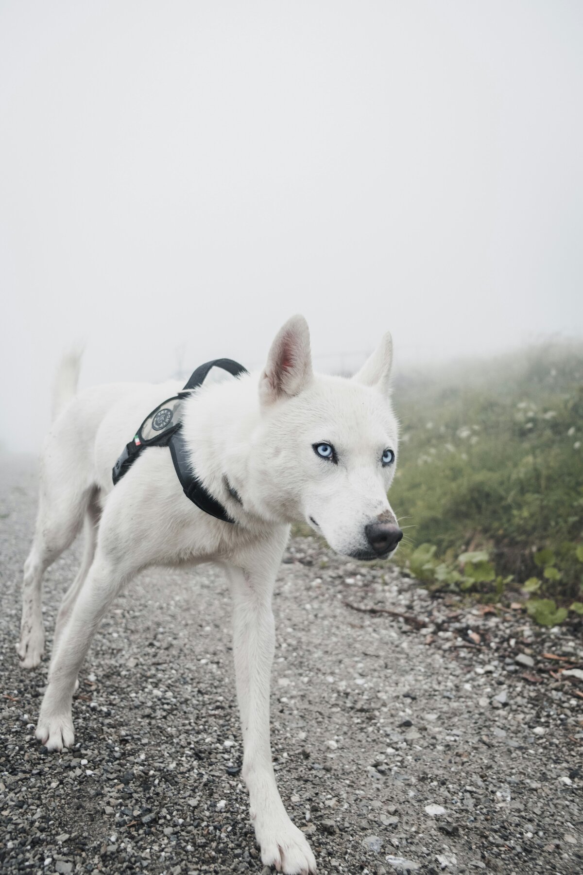 marek-szturc-MKo5uueQ6Jo-unsplash