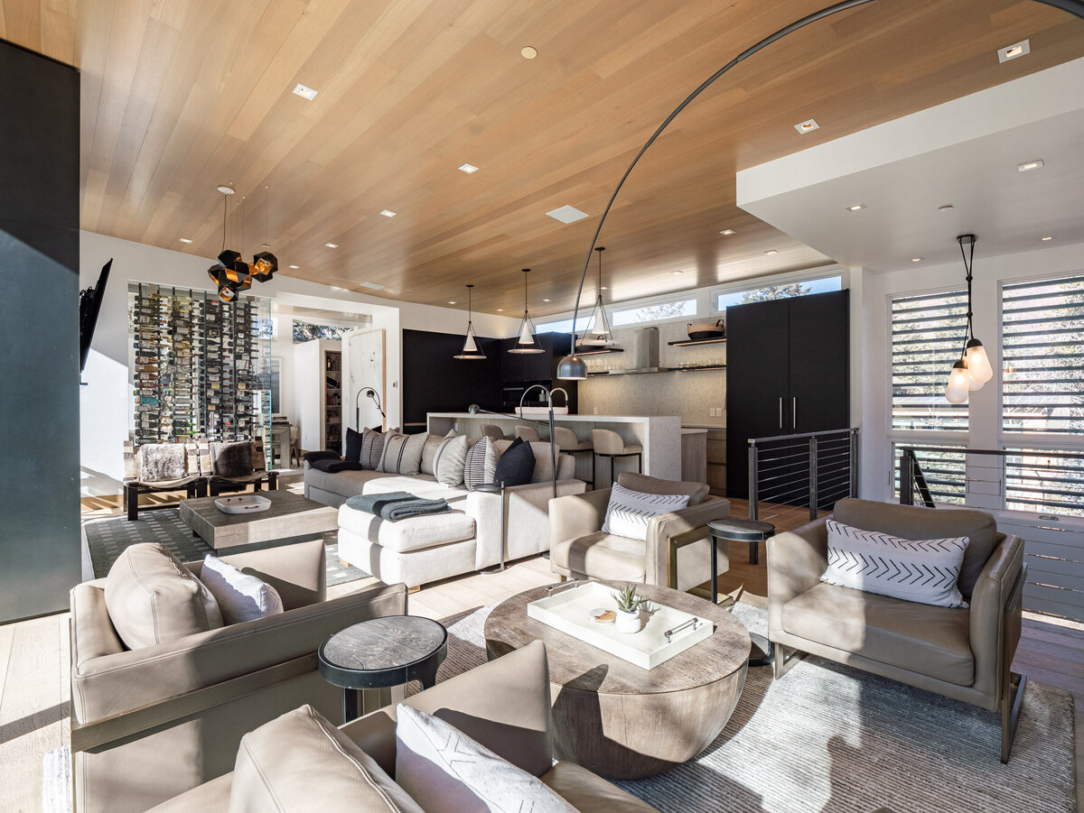 203 N Monarch Street, Aspen (14)