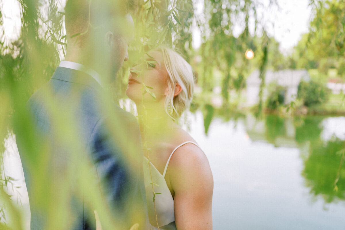 willow-tree-portraits-at-coles-garden