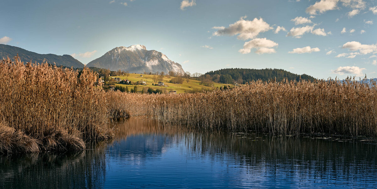Herbstliche Landschaft am Pressegger See mit Blick auf den markanten Dobratsch – ruhige Wasserfläche, goldene Schilfzonen und Alpenpanorama – fotografiert von Atelier Schulte, Landschaftsfotograf aus Kärnten.