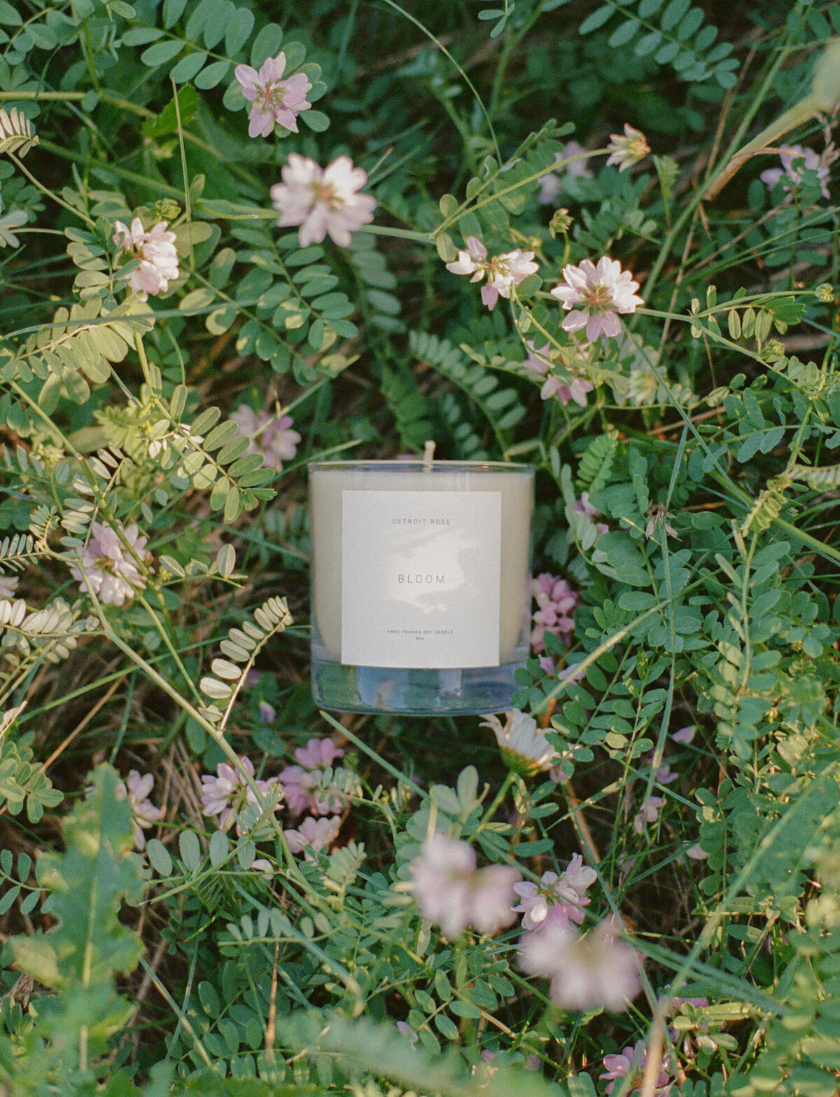 candle branding photo with pink clover, floral candle scent photo, Detroit Rose