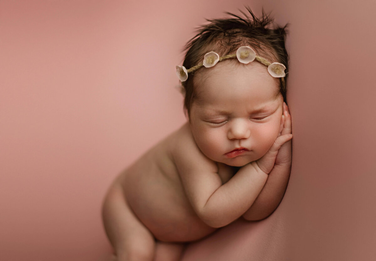 posed-newborn-photography-maple-grove