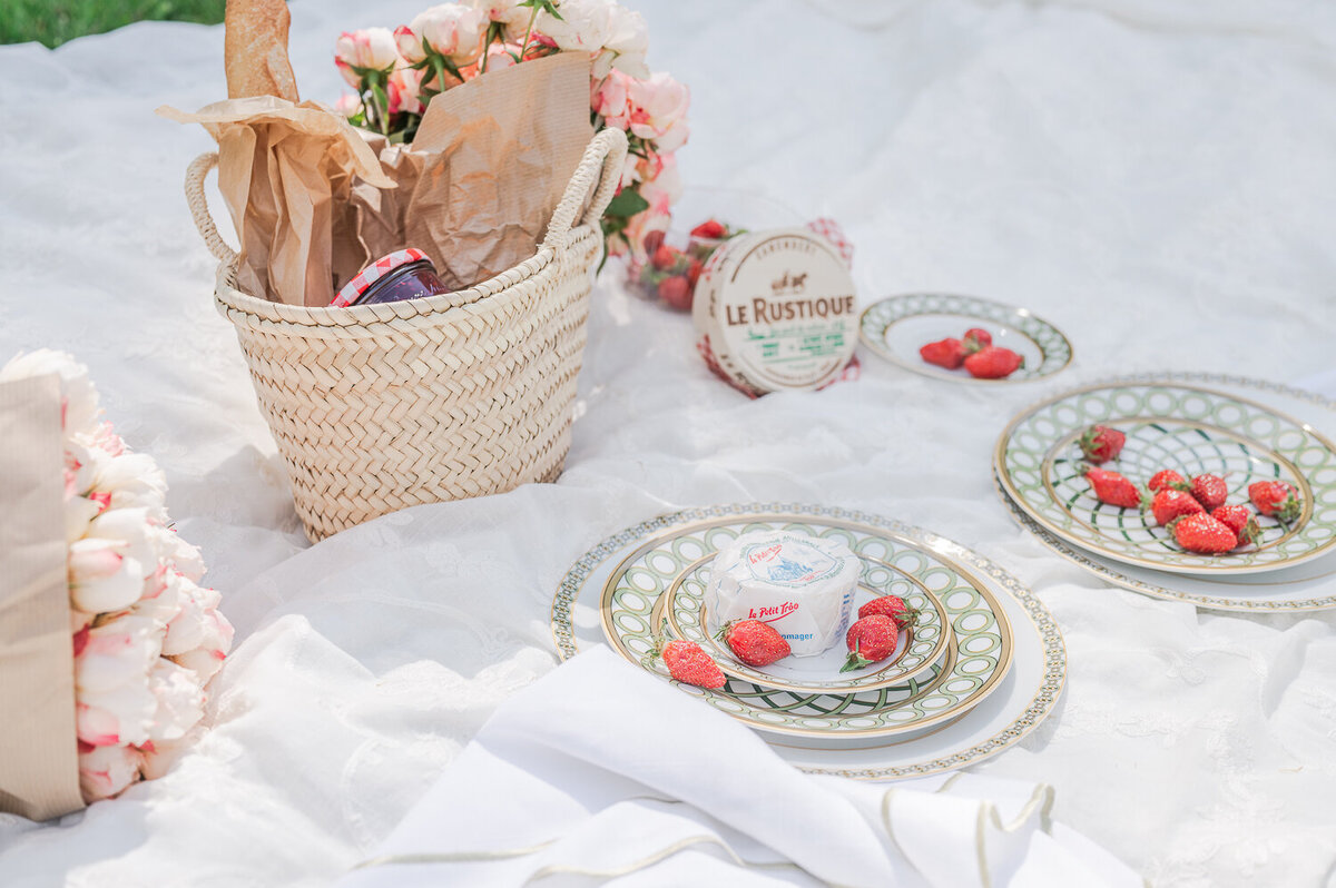 Engagement-shoot-picnic-in-France-1-33