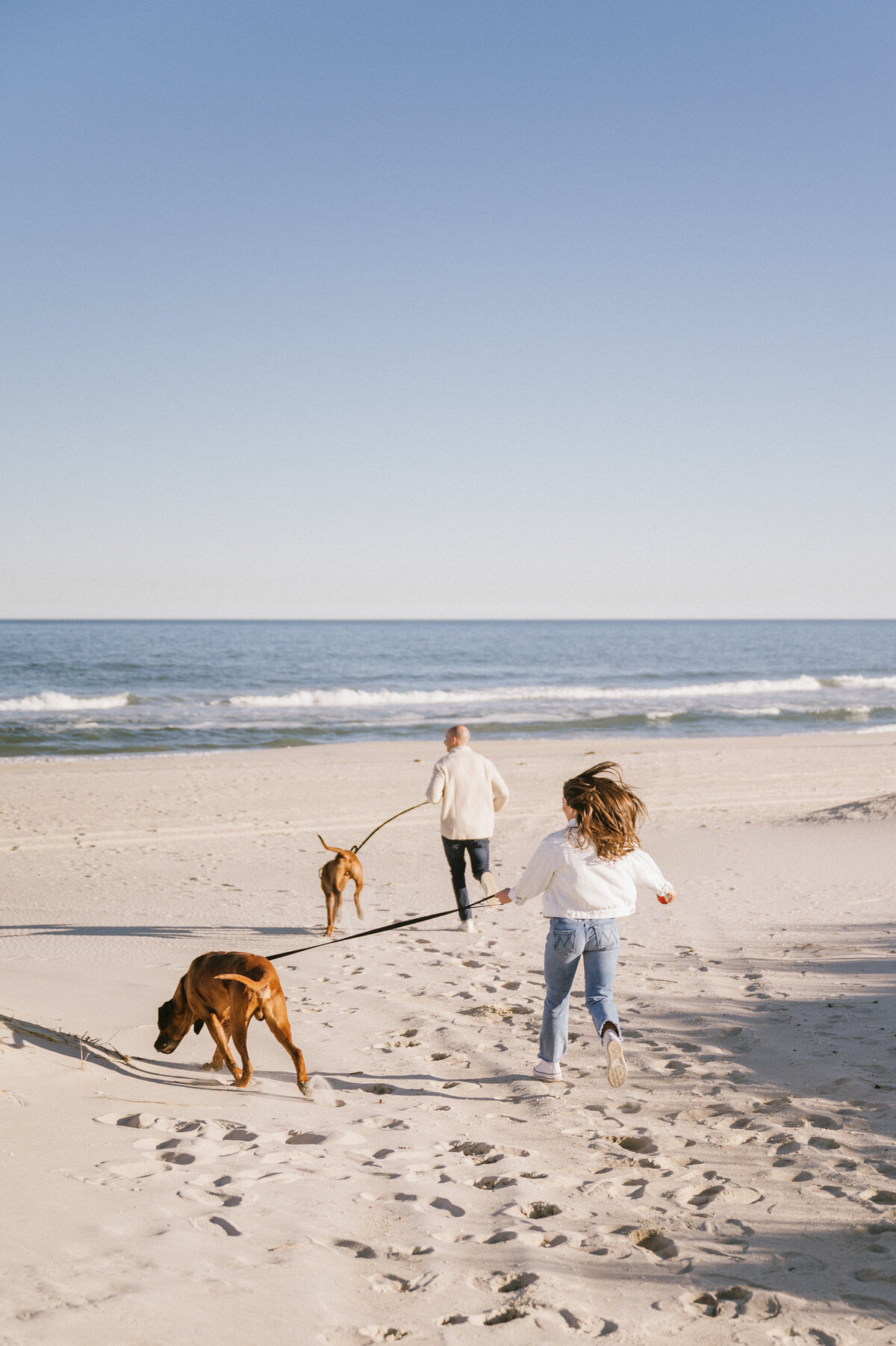 jersey-shore-pet-photographer