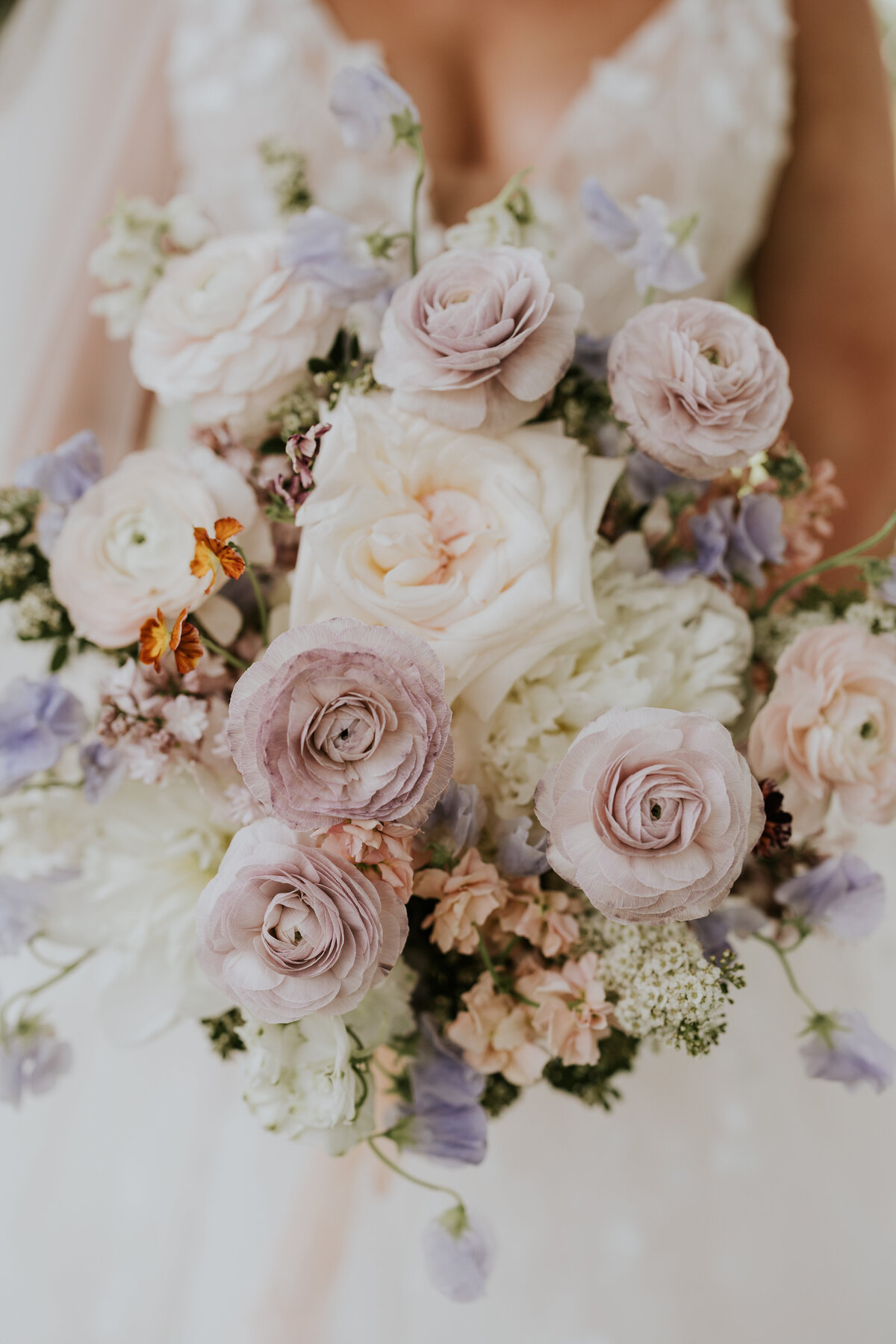 HayleyNickPreviews-1690