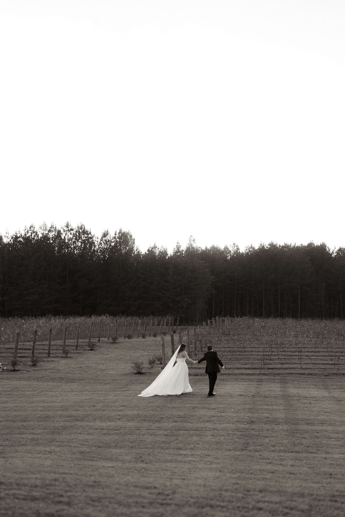 adornment_wedding_raleigh_0021