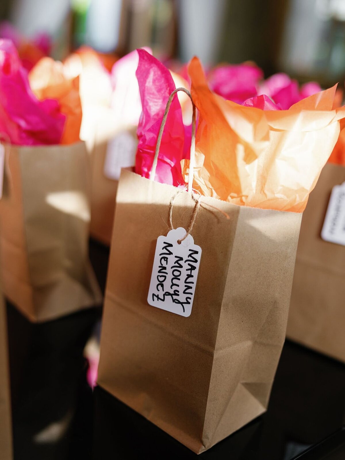 reilly-erin-photography-madison-zach-wedding-23