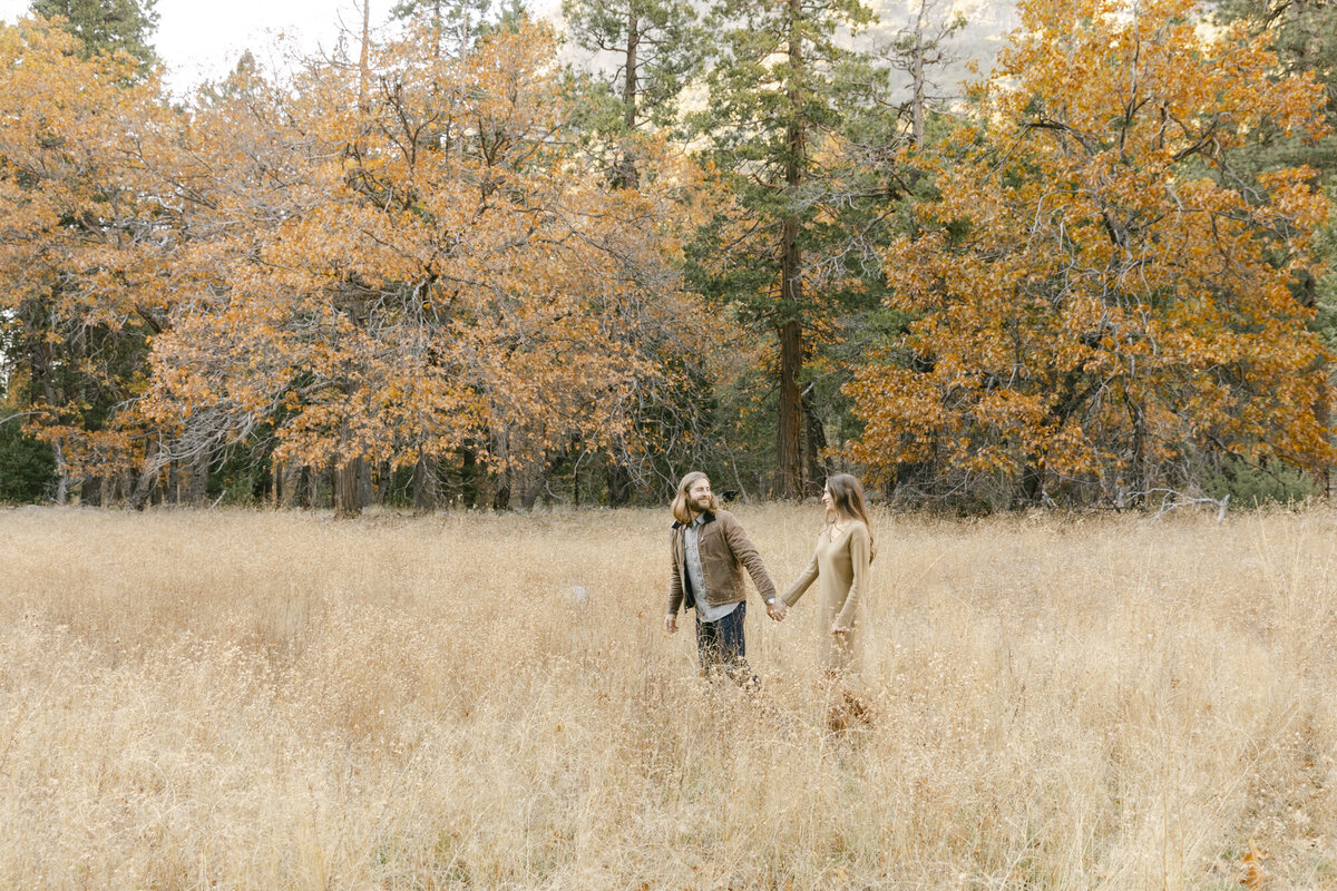 PERRUCCIPHOTO_YOSEMITE_ENGAGEMENT_11