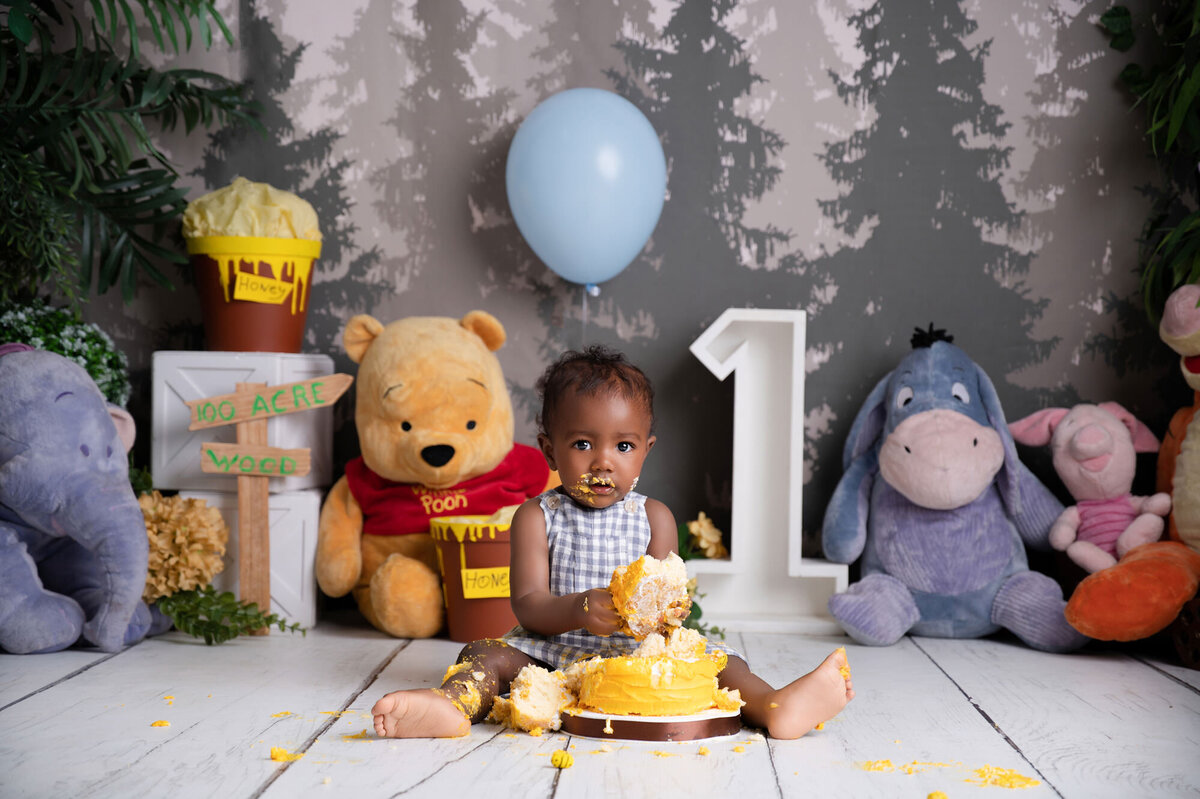 winnie the pooh cake smash theme