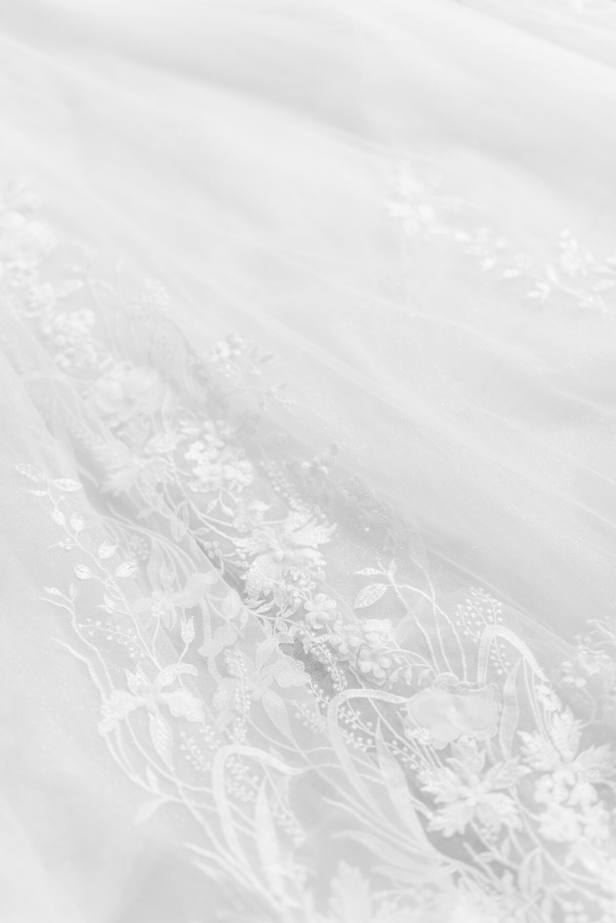 Sneak Peek-22