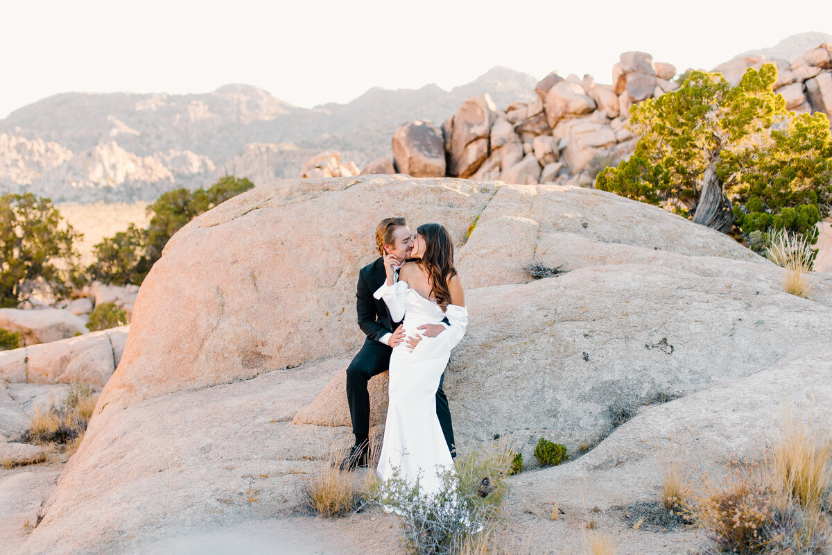 Joshua-Tree-California-Wedding-Photography-Session-D-5