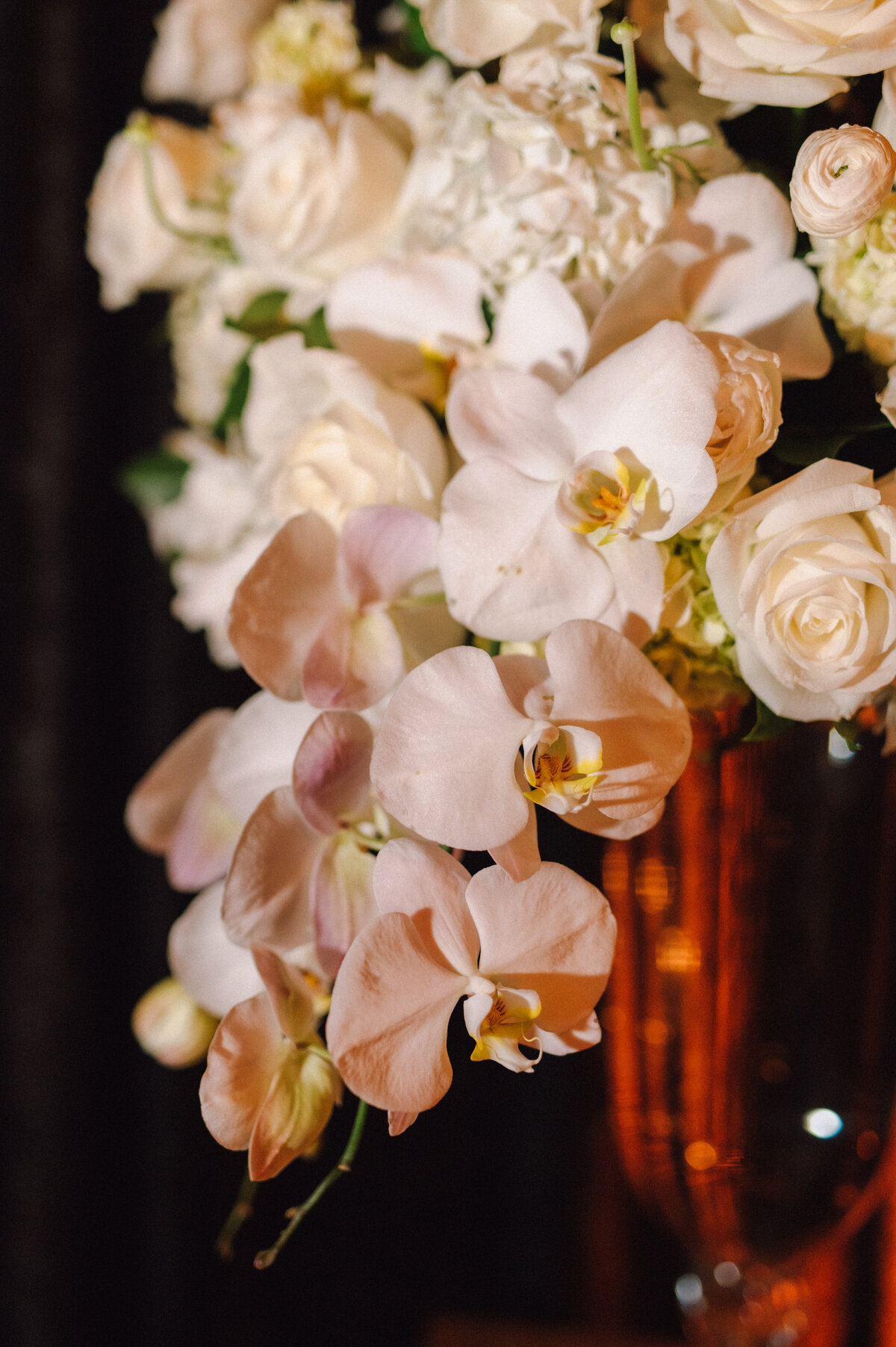 lisajackpreviews-114