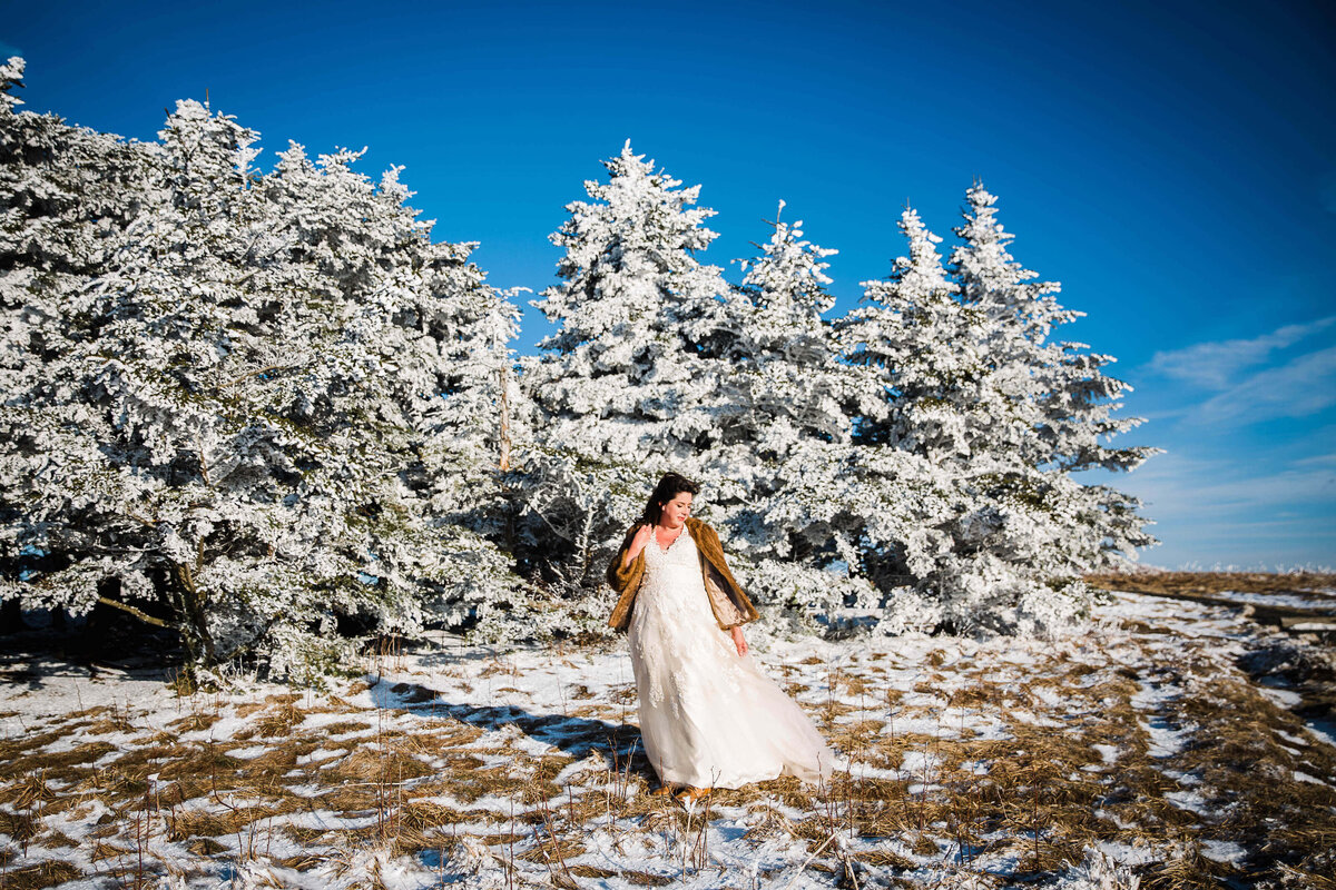 Roan-Mountain-NC-Elopement-46