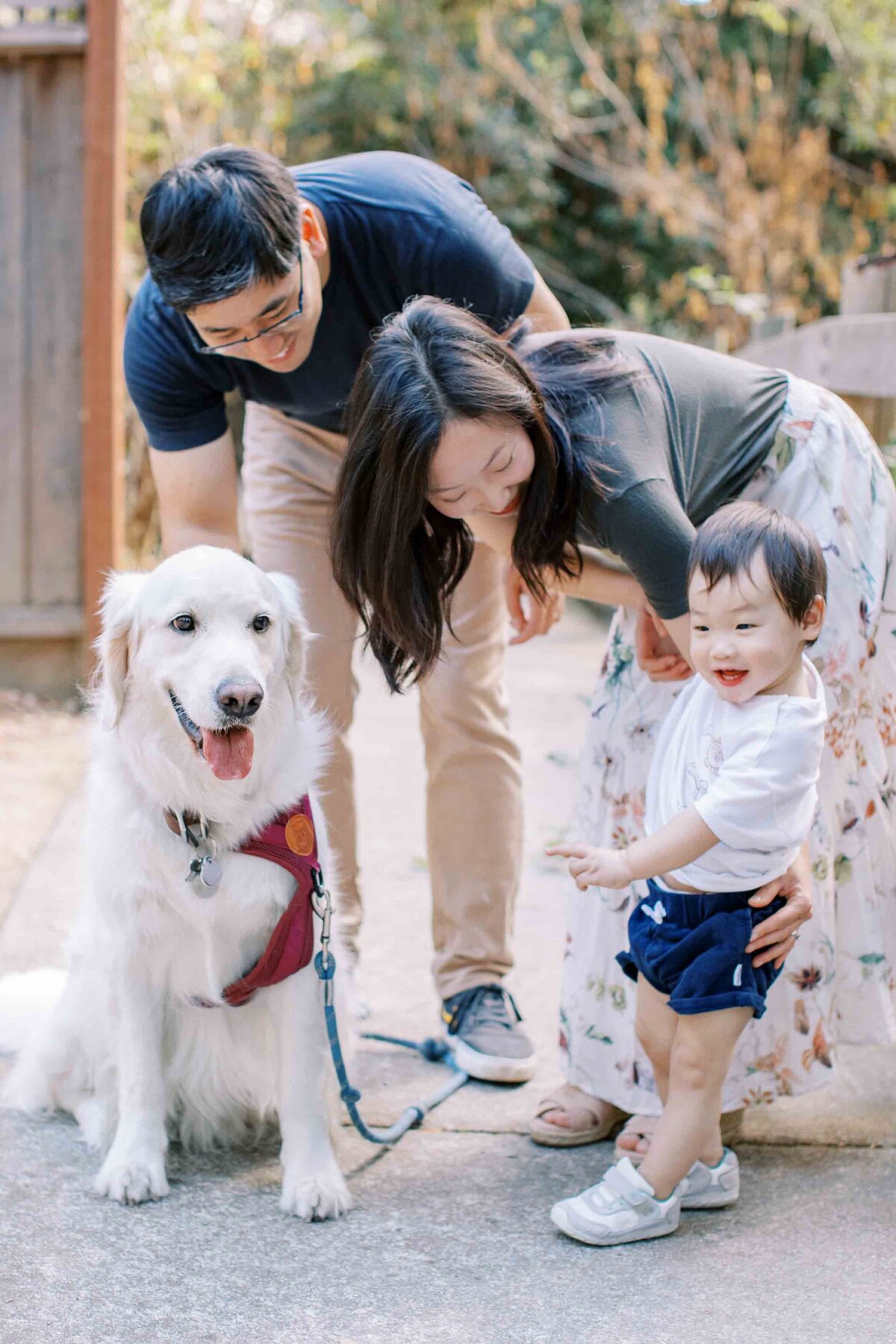 young boy laughing at dog