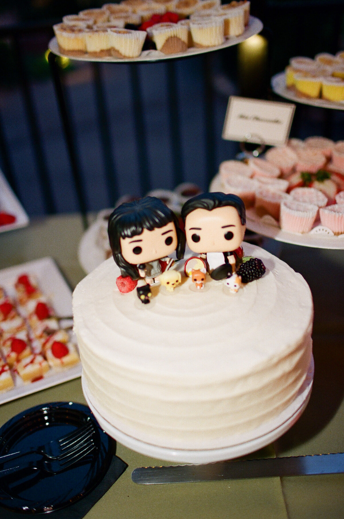 CAITLIN+CALVIN-LI-1048