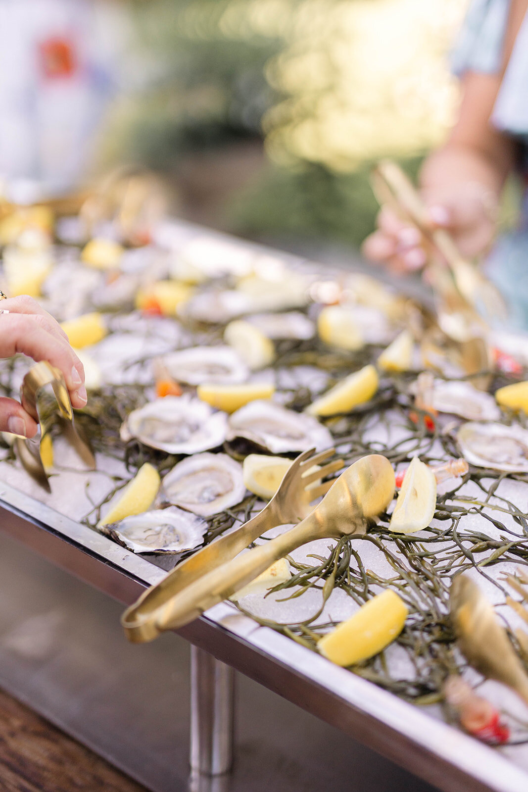 oysters-catering-connecticut-sarah-brehant-events