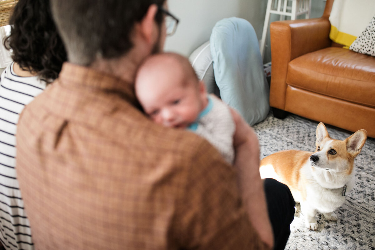 candid-natural-boston-newborn-family-photographer-zev-fisher-081