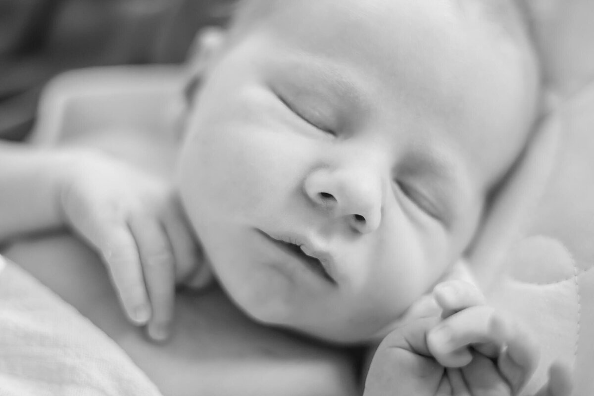 fine art newborn photography of baby boy sleeping