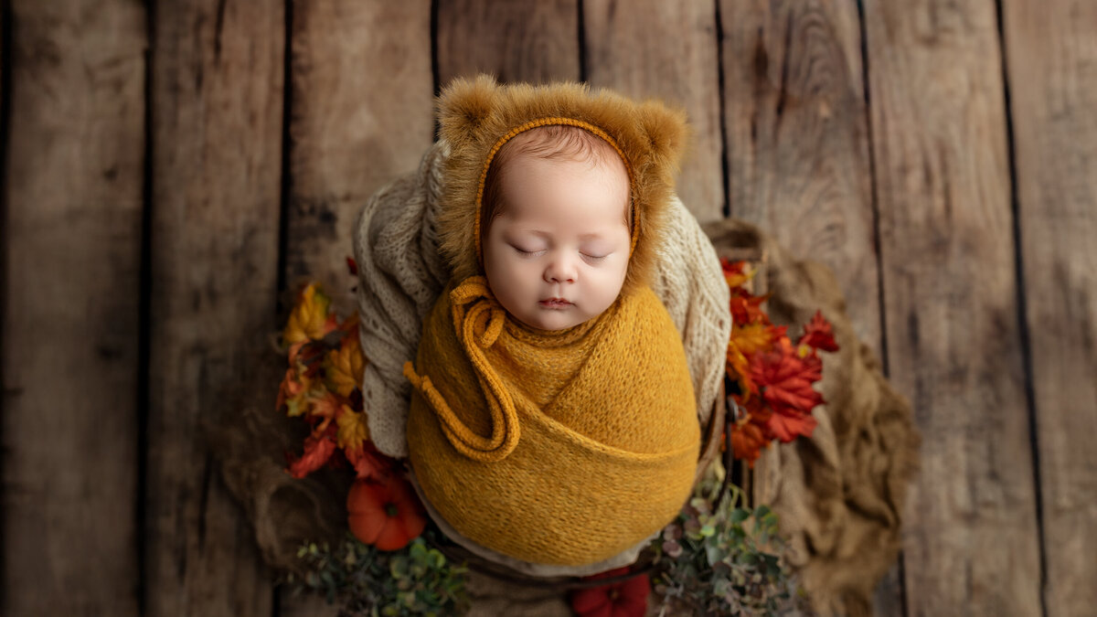 Newborn baby wrapped in a mustard knit and faux fur bear bonnet, resting on rustic wooden flooring surrounded by autumn florals and cozy textures. Photographed at Meraki Photographic Creations studio in Paris, Ontario.