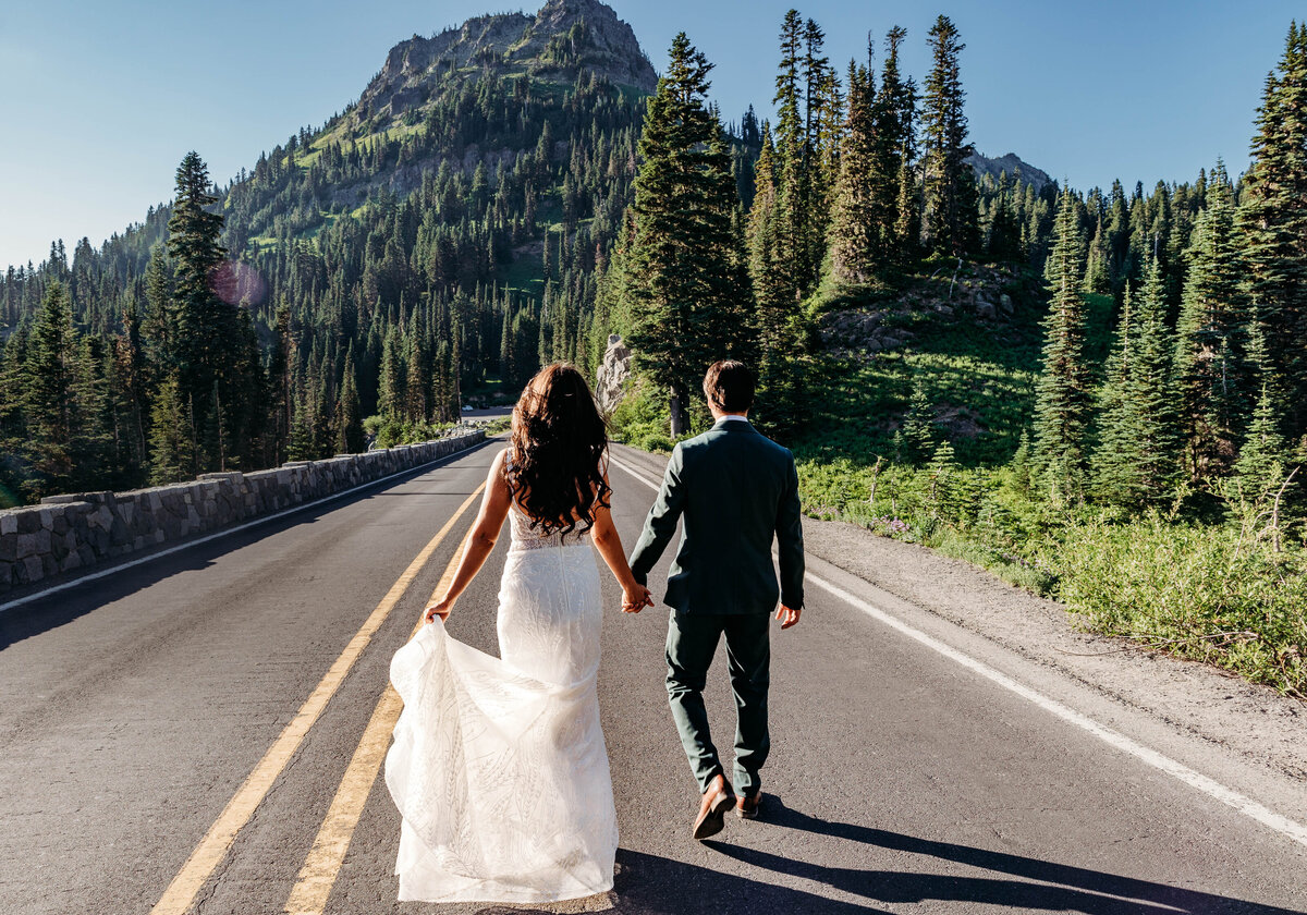 Mount Rainier, Washington Elopement-8534